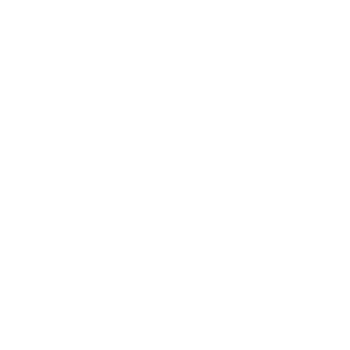 Chart Icon